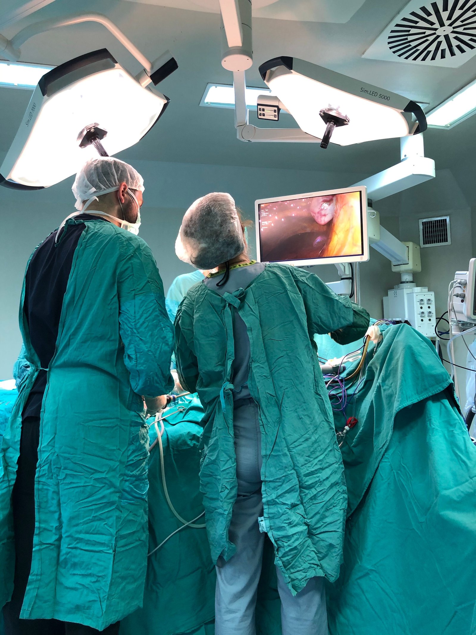 Advanced Endoscopy Procedure